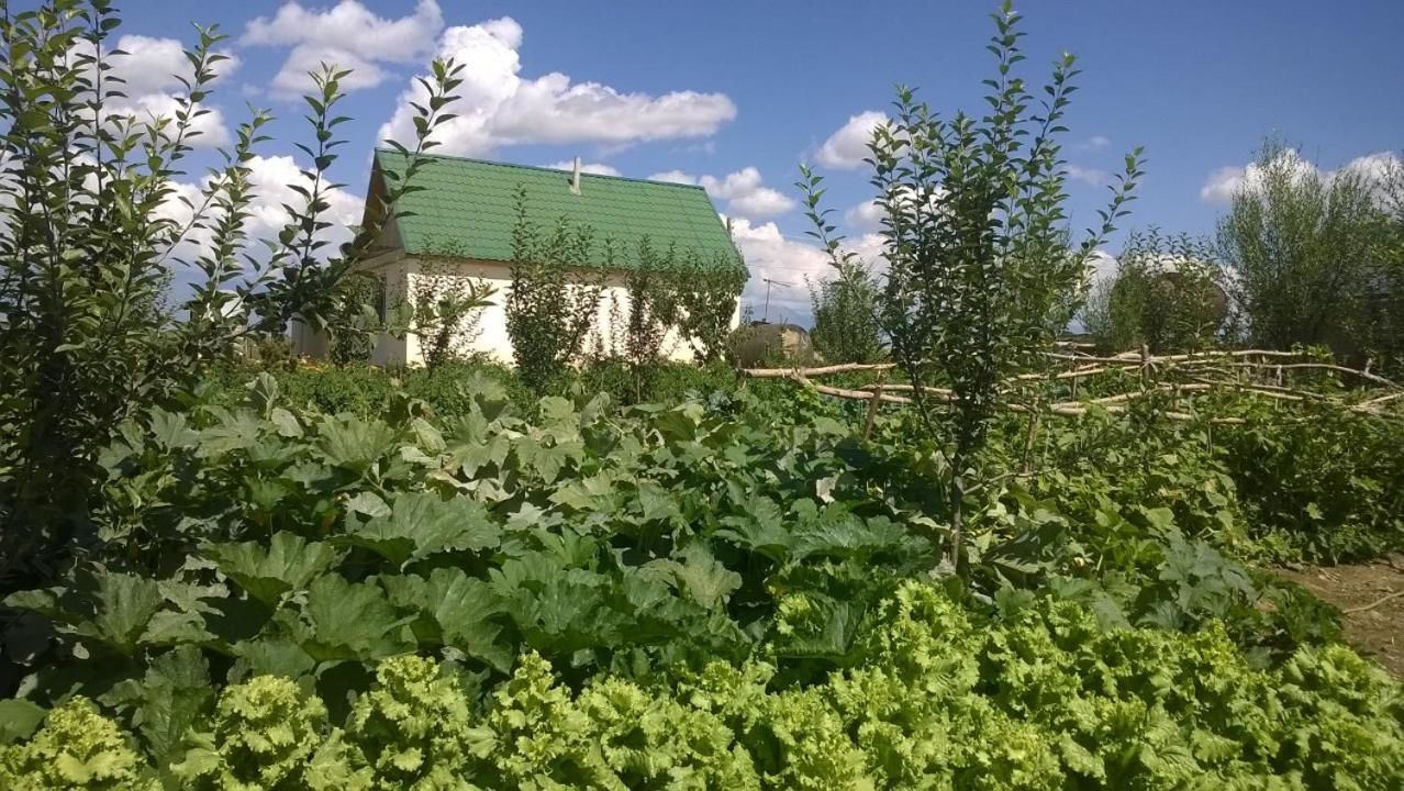Гостевой дом FarmStay Makeevka Каракол-18